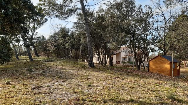 Exemple de terrain correctement débroussaillé