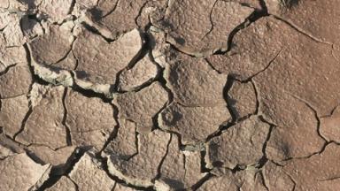 Sol argileux craquelé